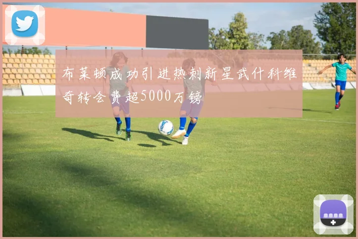 布莱顿成功引进热刺新星武什科维奇转会费超5000万镑